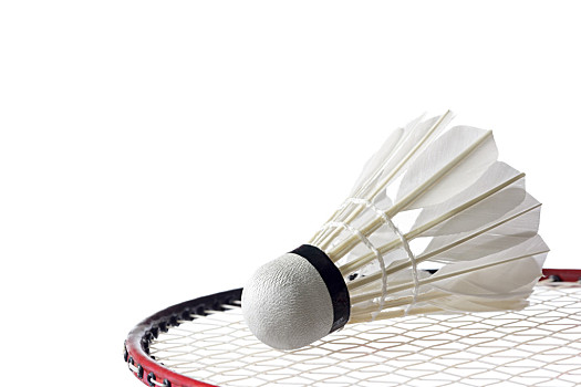 康复方案 康复方案