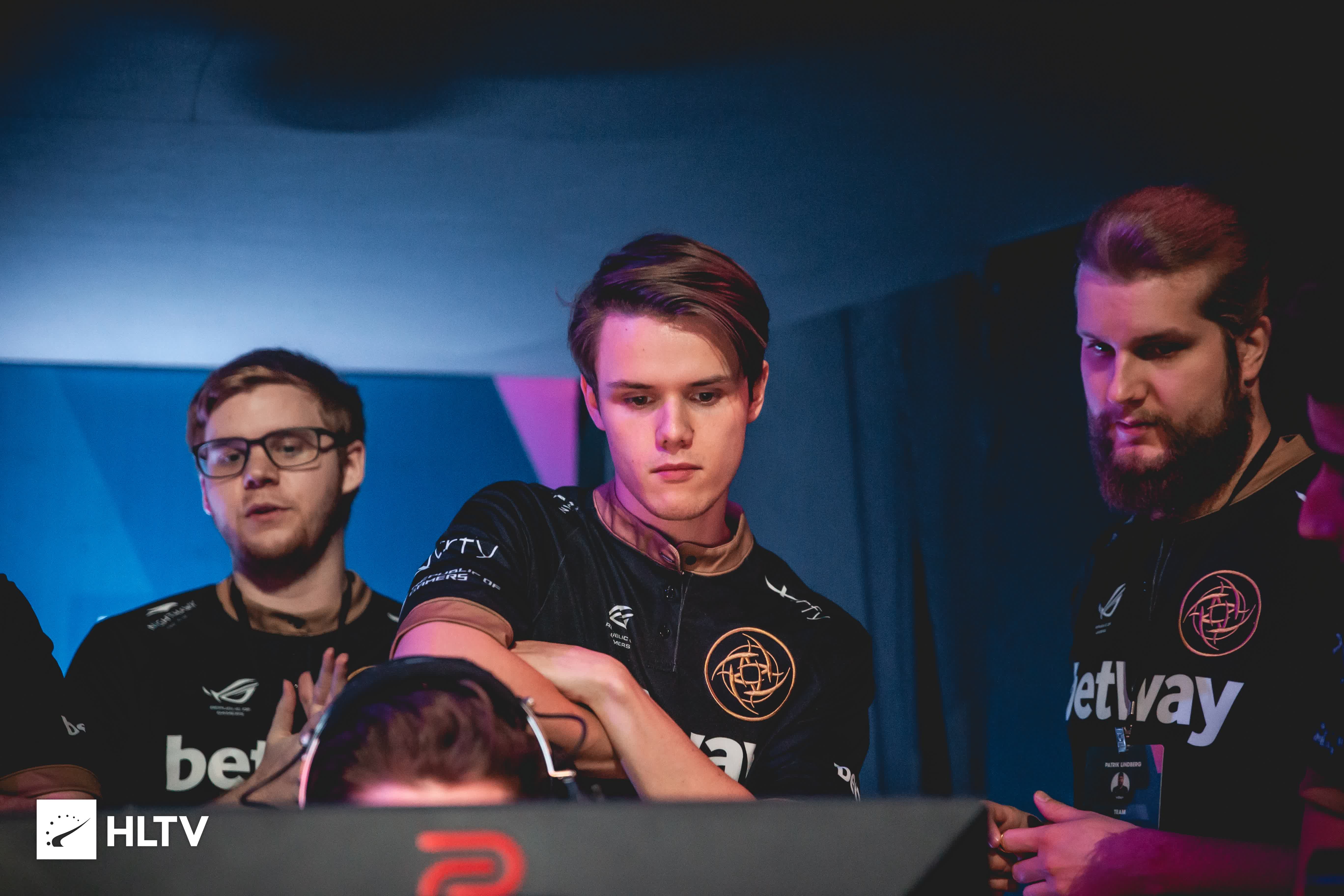 以前五号种 以前五号种