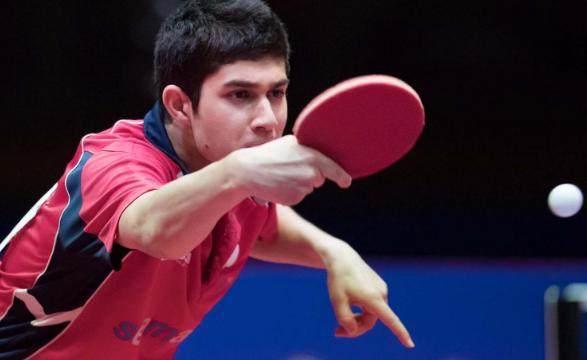 趋势的鲜活 趋势的鲜活