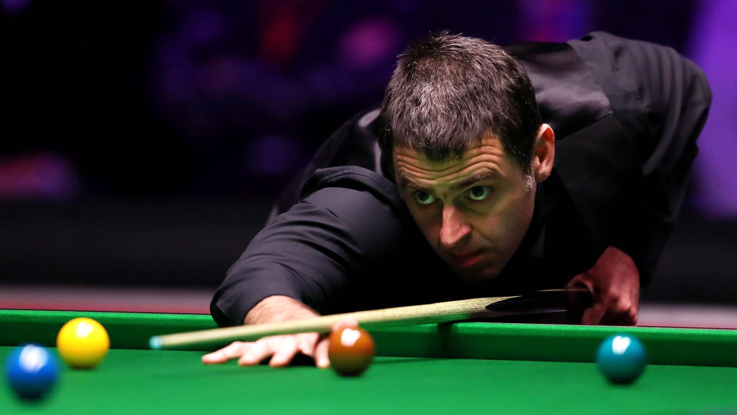 的归属感 的归属感