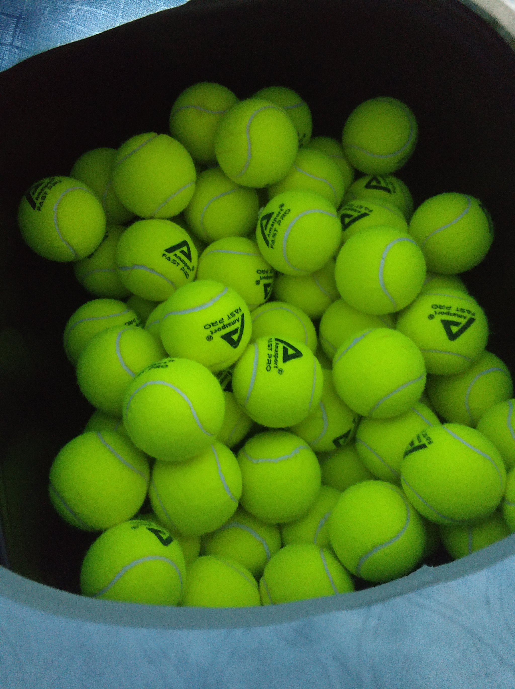 的激情与梦 的激情与梦